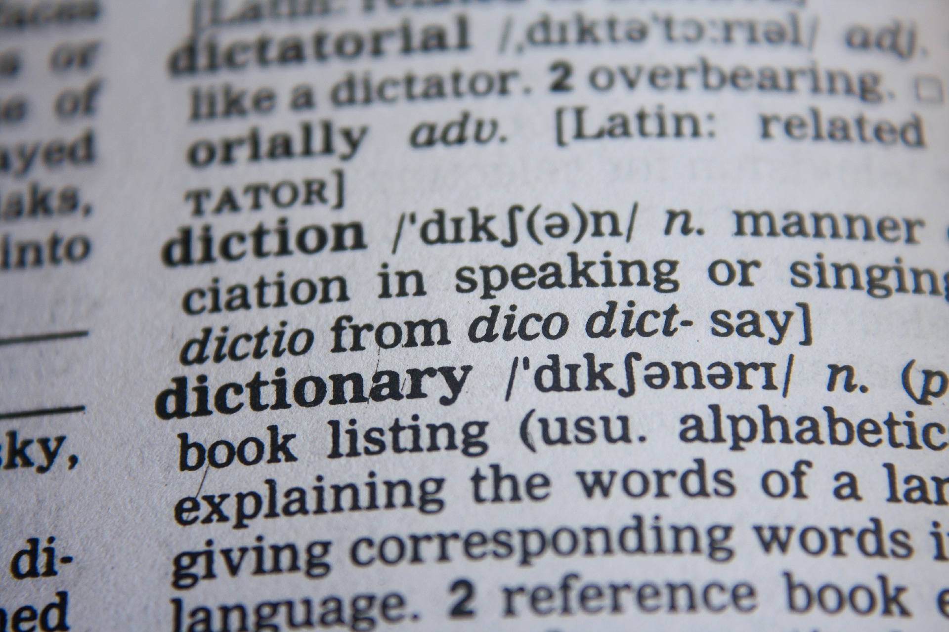 The World of Dictionary Writing — bigwords101